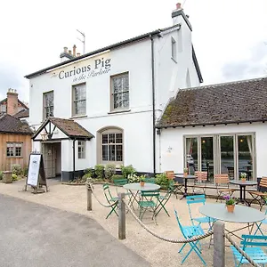 The Curious Pig In The Parlour Burstow